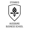 Steinbeis Institute for Effective Management (IFEM)